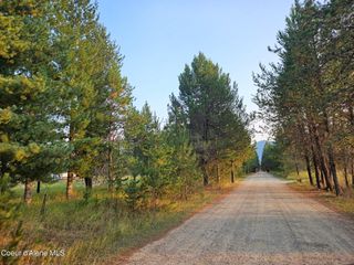 461 Bear Rd, Priest River, ID 83856