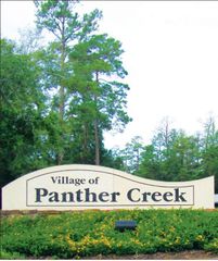 14 Ridgeline Court, Spring, TX 77381