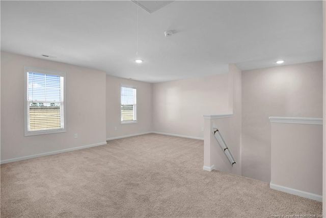 221 Buggy Top Lane, Autryville, NC 28318