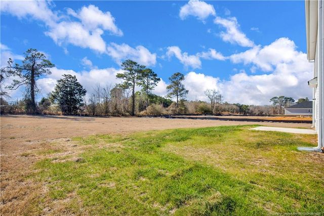 221 Buggy Top Lane, Autryville, NC 28318