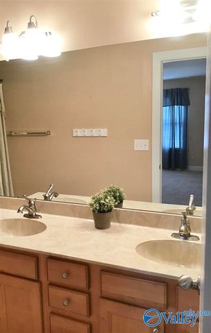 250 Cork Alley, Madison, AL 35758