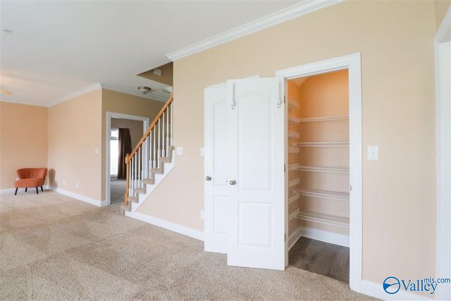 250 Cork Alley, Madison, AL 35758