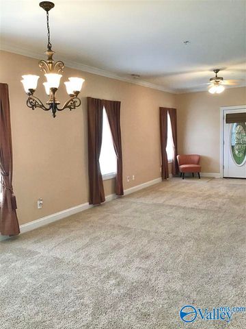 250 Cork Alley, Madison, AL 35758