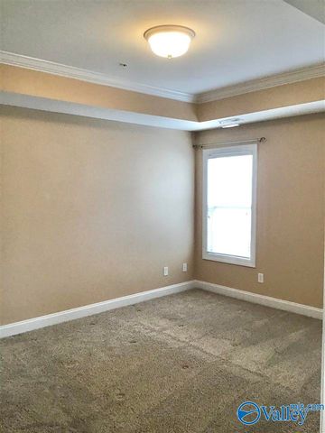 250 Cork Alley, Madison, AL 35758