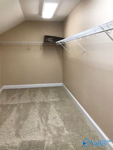 250 Cork Alley, Madison, AL 35758