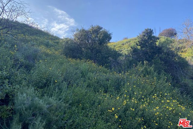 3027 Franklin Canyon Drive, Beverly Hills, CA 90210