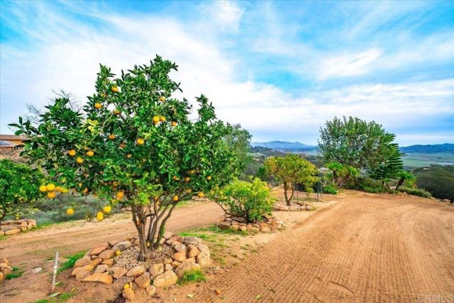 19894 Via Vista Grande, Ramona, CA 92065