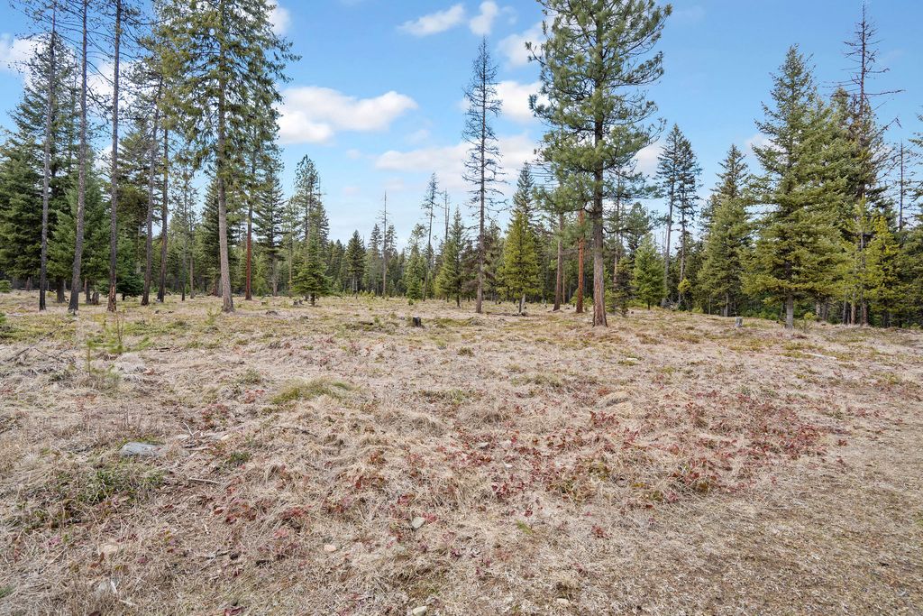 488 & 536 Grumpy Dog Road, Libby, MT 59923 photo 58