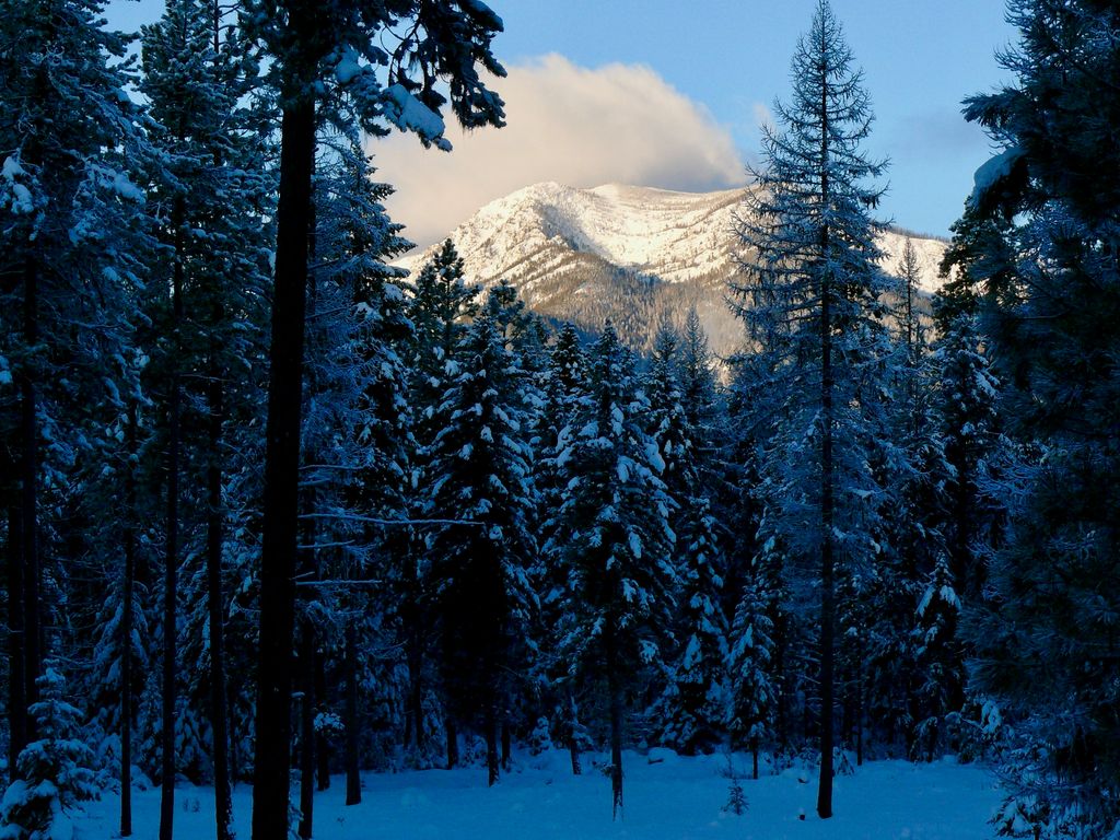 488 & 536 Grumpy Dog Road, Libby, MT 59923 photo 86