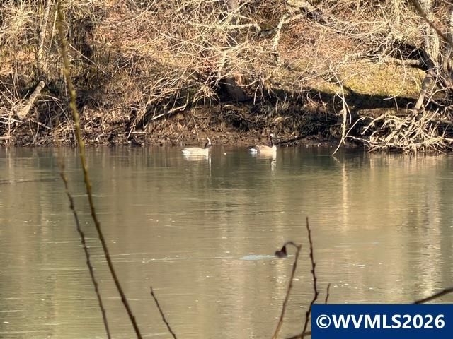 4531 Franklin Bl 92, Eugene, OR 97403