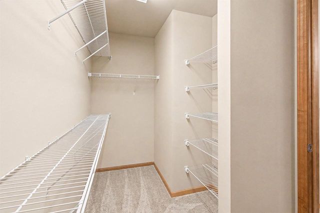 6115 Sledding Parkway, Madison, WI 53558