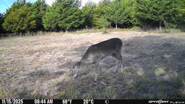 358 County Road 4519, Wolfe City, TX 75496