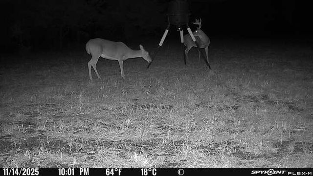 358 County Road 4519, Wolfe City, TX 75496
