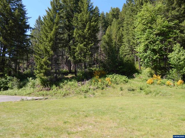 N Santiam Hwy, Idanha, OR 97350