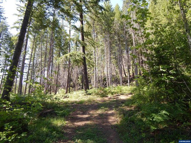 N Santiam Hwy, Idanha, OR 97350