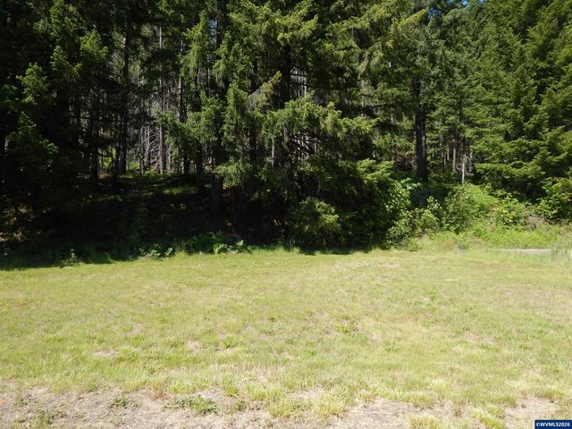 N Santiam Hwy, Idanha, OR 97350