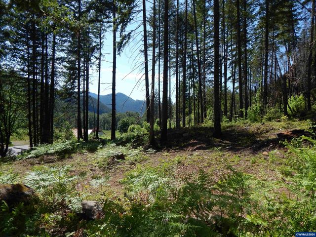 N Santiam Hwy, Idanha, OR 97350