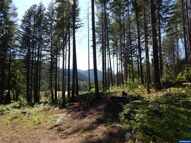 N Santiam Hwy, Idanha, OR 97350