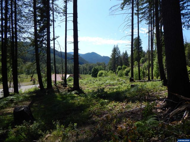 N Santiam Hwy, Idanha, OR 97350