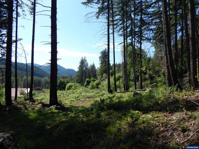 N Santiam Hwy, Idanha, OR 97350