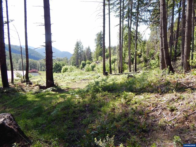 N Santiam Hwy, Idanha, OR 97350