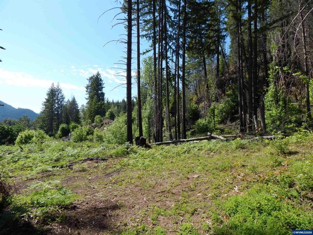 N Santiam Hwy, Idanha, OR 97350