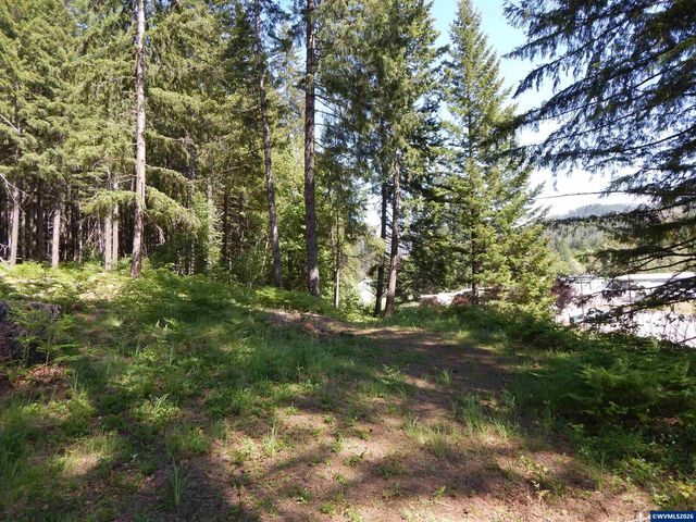 N Santiam Hwy, Idanha, OR 97350