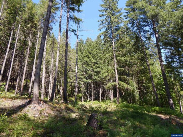 N Santiam Hwy, Idanha, OR 97350