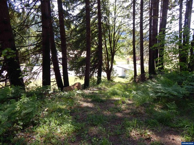 N Santiam Hwy, Idanha, OR 97350