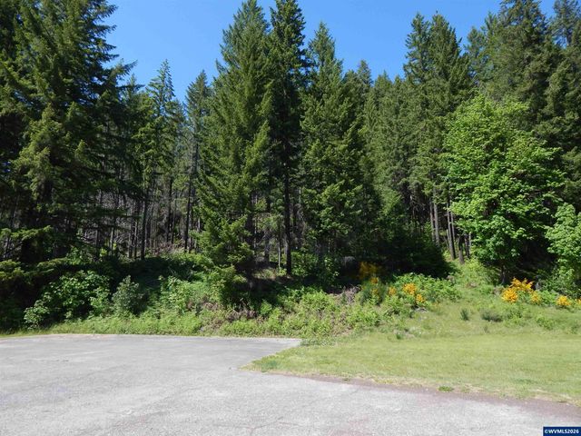 N Santiam Hwy, Idanha, OR 97350