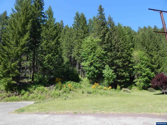N Santiam Hwy, Idanha, OR 97350