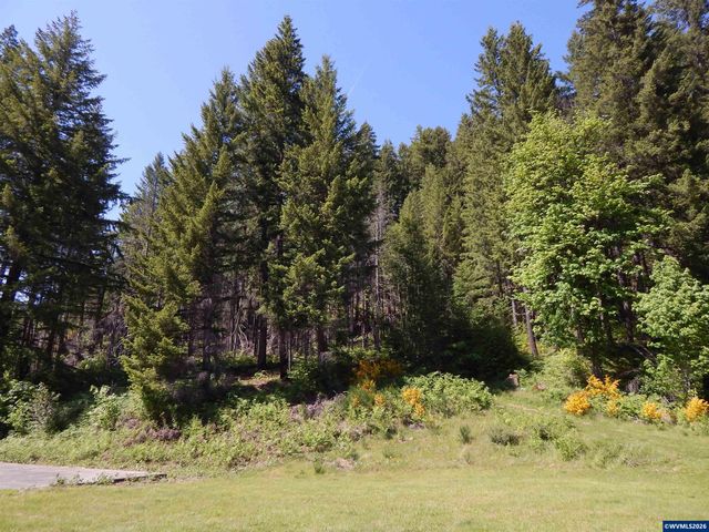N Santiam Hwy, Idanha, OR 97350