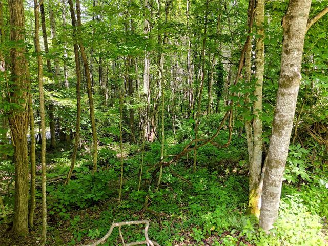 0 Serenity Mountain Road 108, Waynesville, NC 28786
