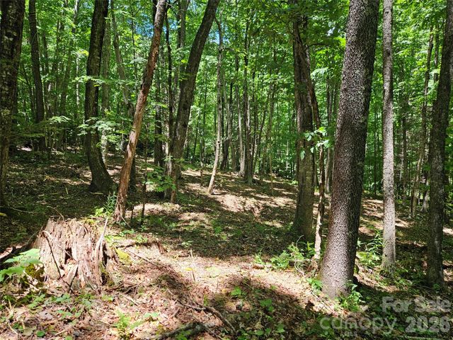 0 Serenity Mountain Road 108, Waynesville, NC 28786