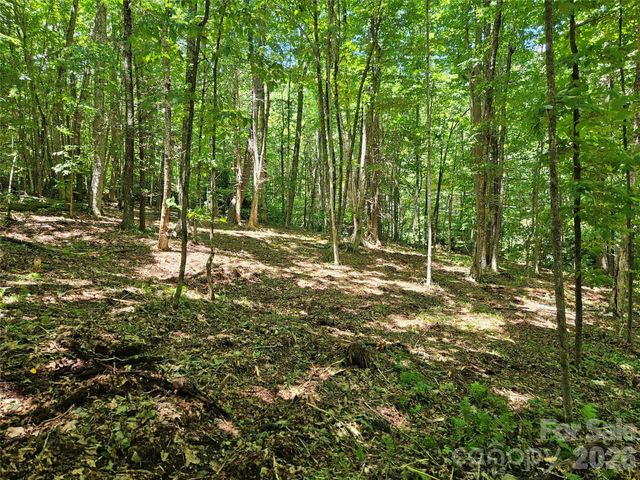 0 Serenity Mountain Road 108, Waynesville, NC 28786