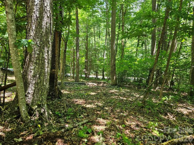 0 Serenity Mountain Road 108, Waynesville, NC 28786