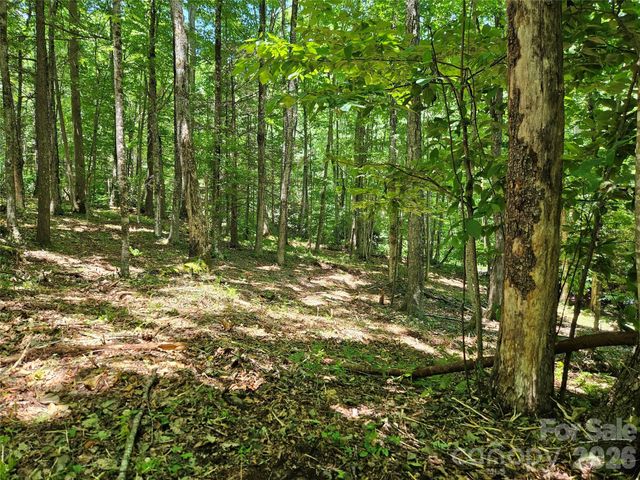 0 Serenity Mountain Road 108, Waynesville, NC 28786
