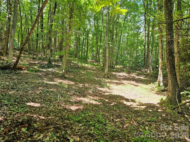 0 Serenity Mountain Road 108, Waynesville, NC 28786