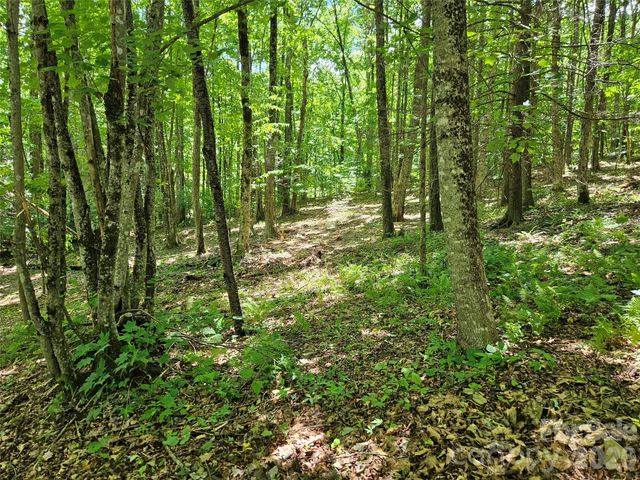 0 Serenity Mountain Road 108, Waynesville, NC 28786