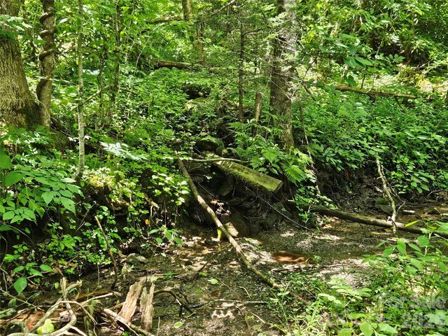 0 Serenity Mountain Road 108, Waynesville, NC 28786