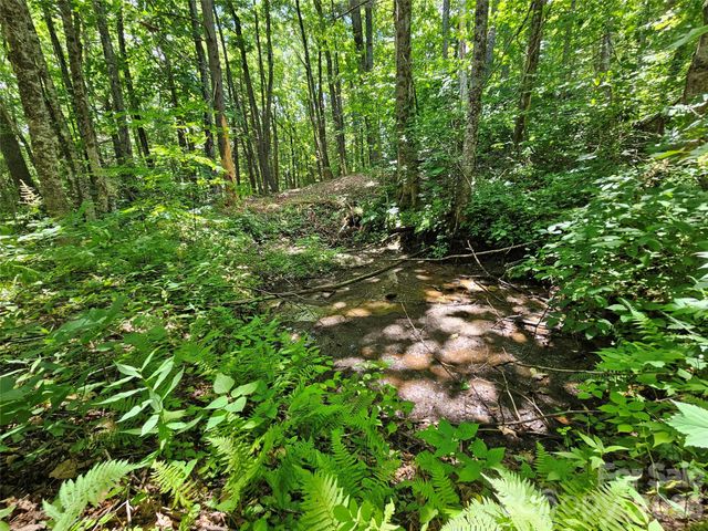 0 Serenity Mountain Road 108, Waynesville, NC 28786