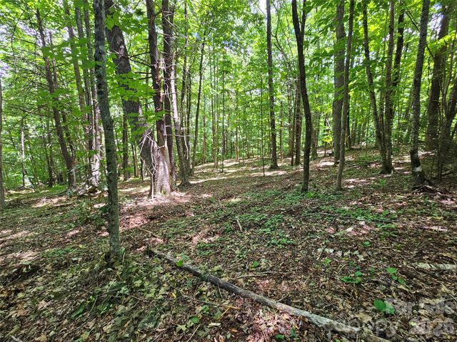 0 Serenity Mountain Road 108, Waynesville, NC 28786
