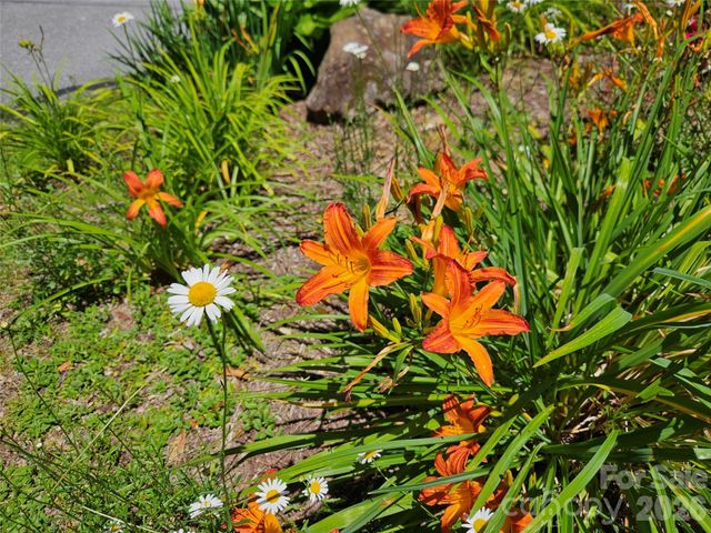 0 Serenity Mountain Road 108, Waynesville, NC 28786