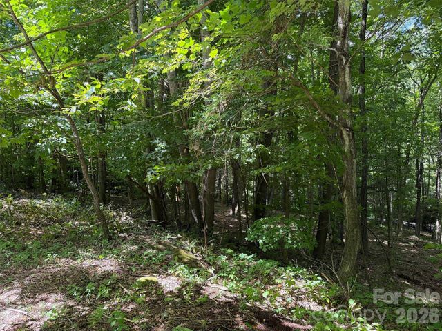 0 Serenity Mountain Road 108, Waynesville, NC 28786