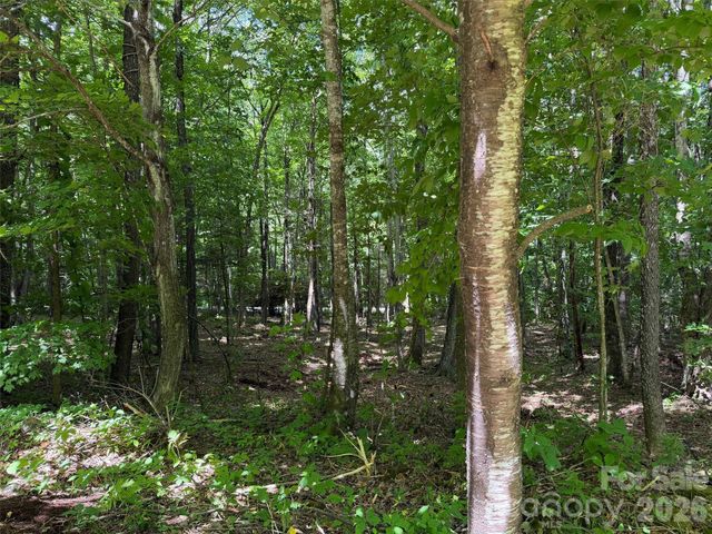 0 Serenity Mountain Road 108, Waynesville, NC 28786