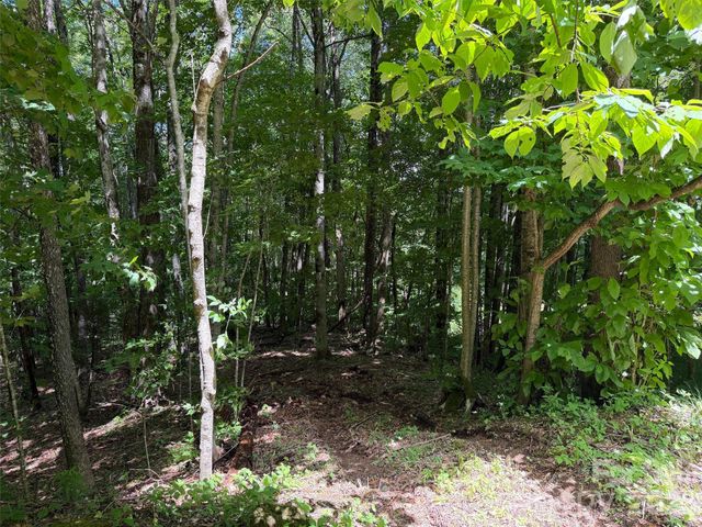 0 Serenity Mountain Road 108, Waynesville, NC 28786