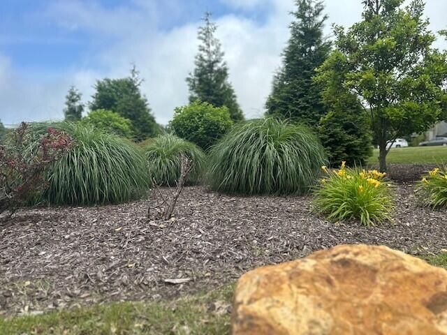 92-J Founding Way 22, Lookout Mountain, GA 30750