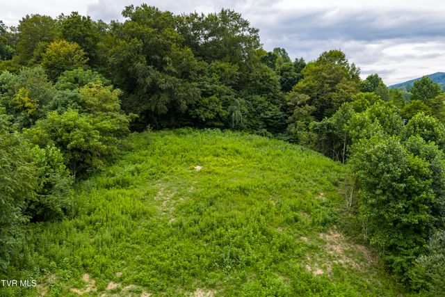 Tbd Sunny Lane Lot 6, Unicoi, TN 37692