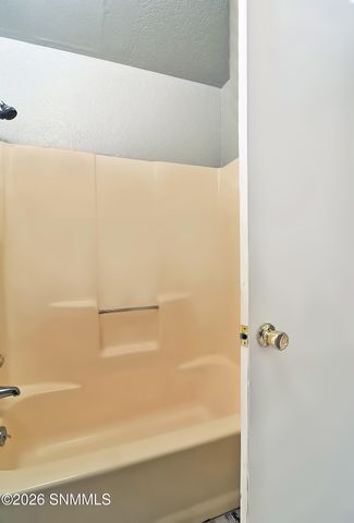 2930 Claude Dove Drive APT 2, Las Cruces, NM 88011