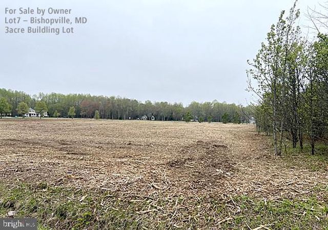 10164 RABBIT RIDGE RD, Bishopville, MD 21813